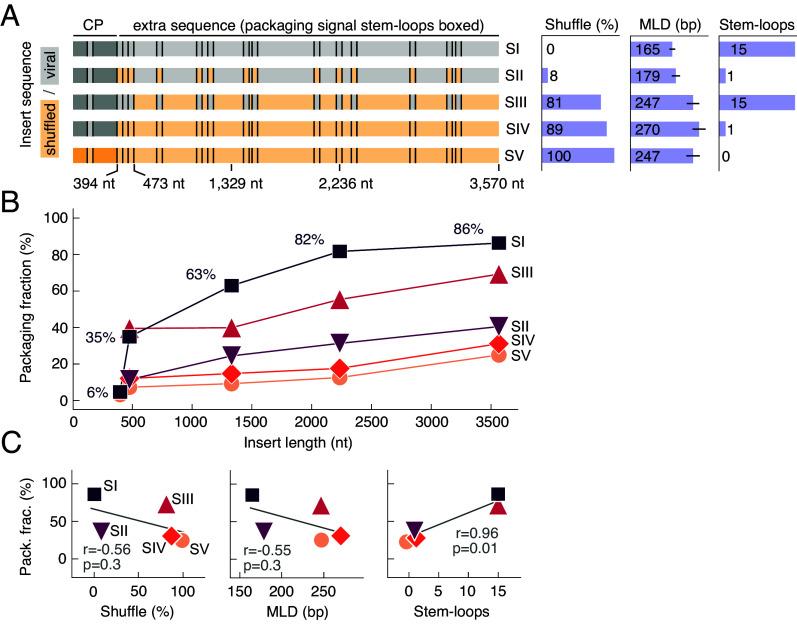 https://cdn.ncbi.nlm.nih.gov/pmc/blobs/5f71/12377776/0466dba0a1f2/pnas.2505190122fig04.jpg