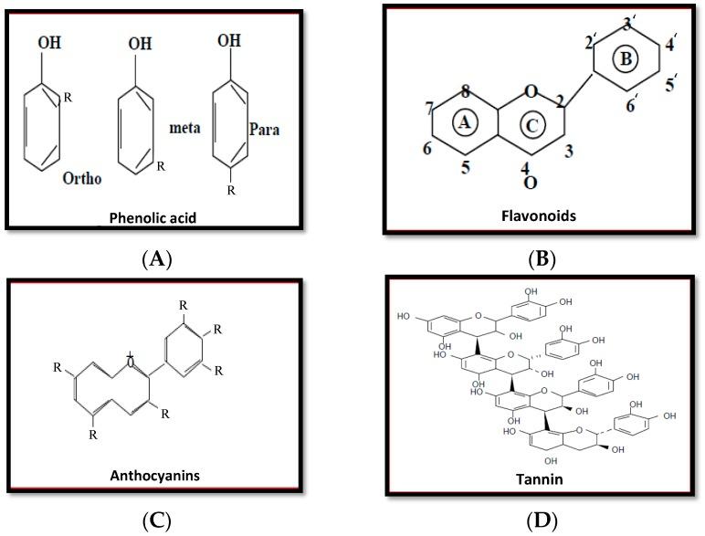 https://cdn.ncbi.nlm.nih.gov/pmc/blobs/5f79/5750618/2301bfa7d3c3/plants-06-00042-g001.jpg