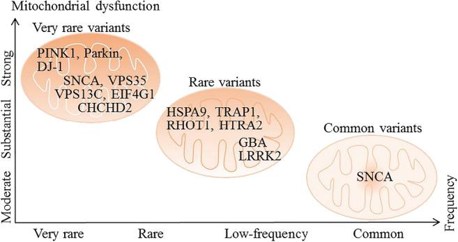 https://cdn.ncbi.nlm.nih.gov/pmc/blobs/5f7f/8280023/5f1253ea6ceb/12035_2021_2375_Fig1_HTML.jpg
