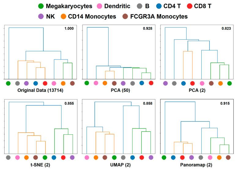 https://cdn.ncbi.nlm.nih.gov/pmc/blobs/5f87/9316349/2f9970eabf17/ijms-23-07775-g004.jpg