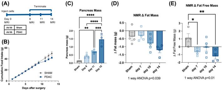 https://cdn.ncbi.nlm.nih.gov/pmc/blobs/5f96/11154744/0d67b822272c/JCSM-15-975-g001.jpg