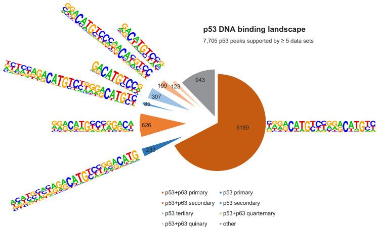 https://cdn.ncbi.nlm.nih.gov/pmc/blobs/5fe8/7735755/27b63ca41c3e/elife-63266-fig6.jpg