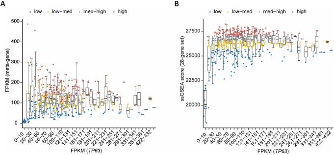 https://cdn.ncbi.nlm.nih.gov/pmc/blobs/5fe8/7735755/4fd04f9f63c3/elife-63266-fig8-figsupp1.jpg