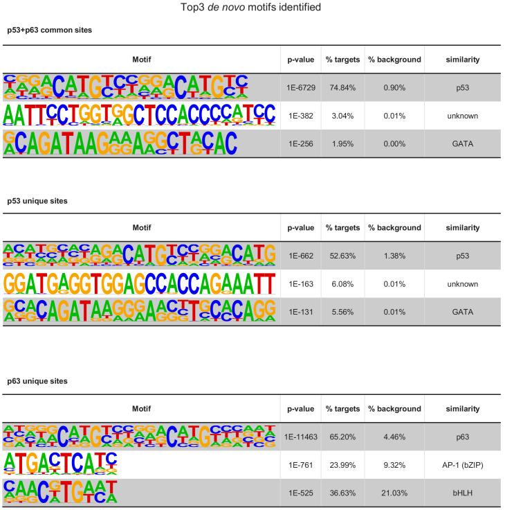 https://cdn.ncbi.nlm.nih.gov/pmc/blobs/5fe8/7735755/768cd971a6de/elife-63266-fig5-figsupp3.jpg