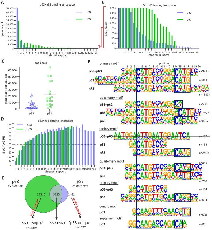 https://cdn.ncbi.nlm.nih.gov/pmc/blobs/5fe8/7735755/a832c02774dd/elife-63266-fig5.jpg