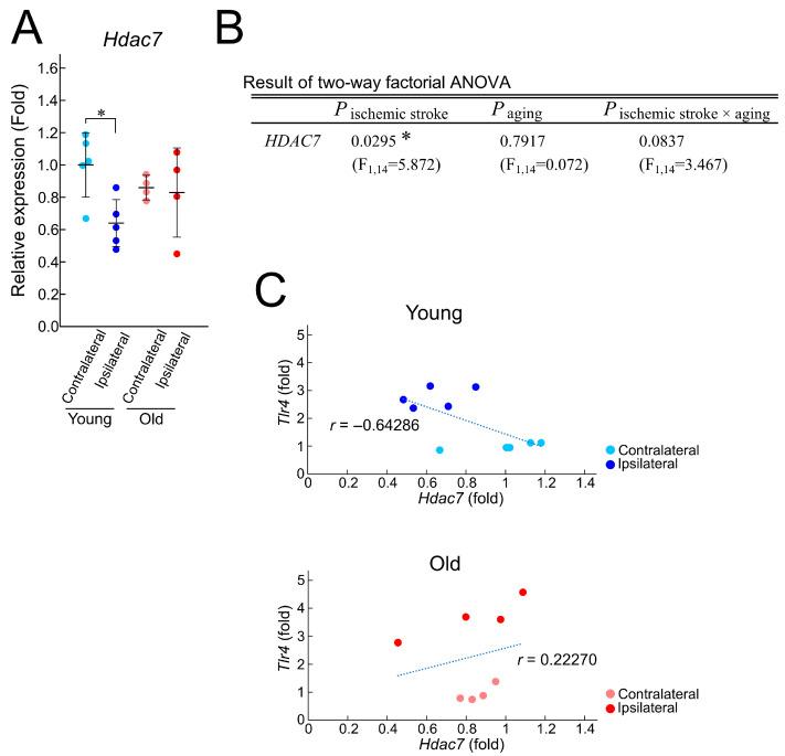 https://cdn.ncbi.nlm.nih.gov/pmc/blobs/5fe9/12384191/860cac45b25f/brainsci-15-00810-g005.jpg