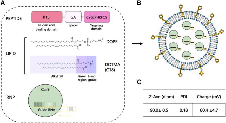 https://cdn.ncbi.nlm.nih.gov/pmc/blobs/5fee/10661860/ec7e450f470d/gr1.jpg