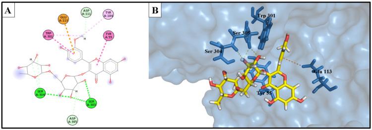 https://cdn.ncbi.nlm.nih.gov/pmc/blobs/6002/10574154/22060a92755a/molecules-28-06895-g011.jpg
