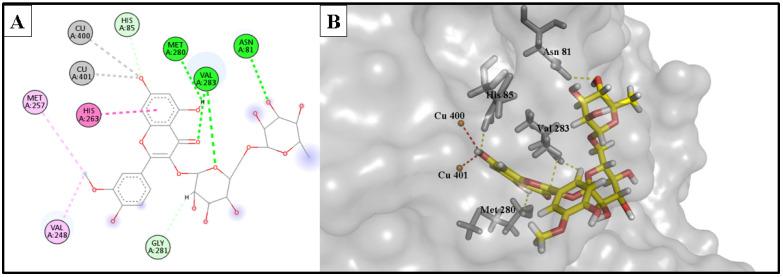 https://cdn.ncbi.nlm.nih.gov/pmc/blobs/6002/10574154/63ebb0be75c2/molecules-28-06895-g007.jpg