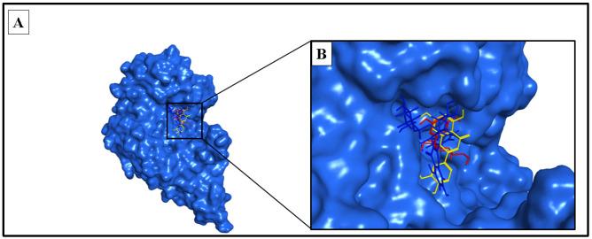 https://cdn.ncbi.nlm.nih.gov/pmc/blobs/6002/10574154/91745741ed01/molecules-28-06895-g009.jpg