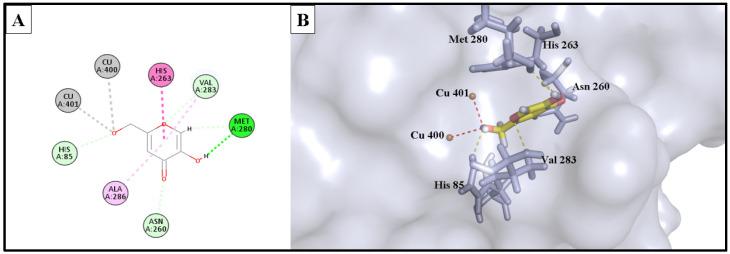 https://cdn.ncbi.nlm.nih.gov/pmc/blobs/6002/10574154/b3cf8c99c1e7/molecules-28-06895-g008.jpg