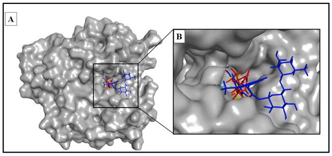 https://cdn.ncbi.nlm.nih.gov/pmc/blobs/6002/10574154/e4ccbf53a4fb/molecules-28-06895-g005.jpg