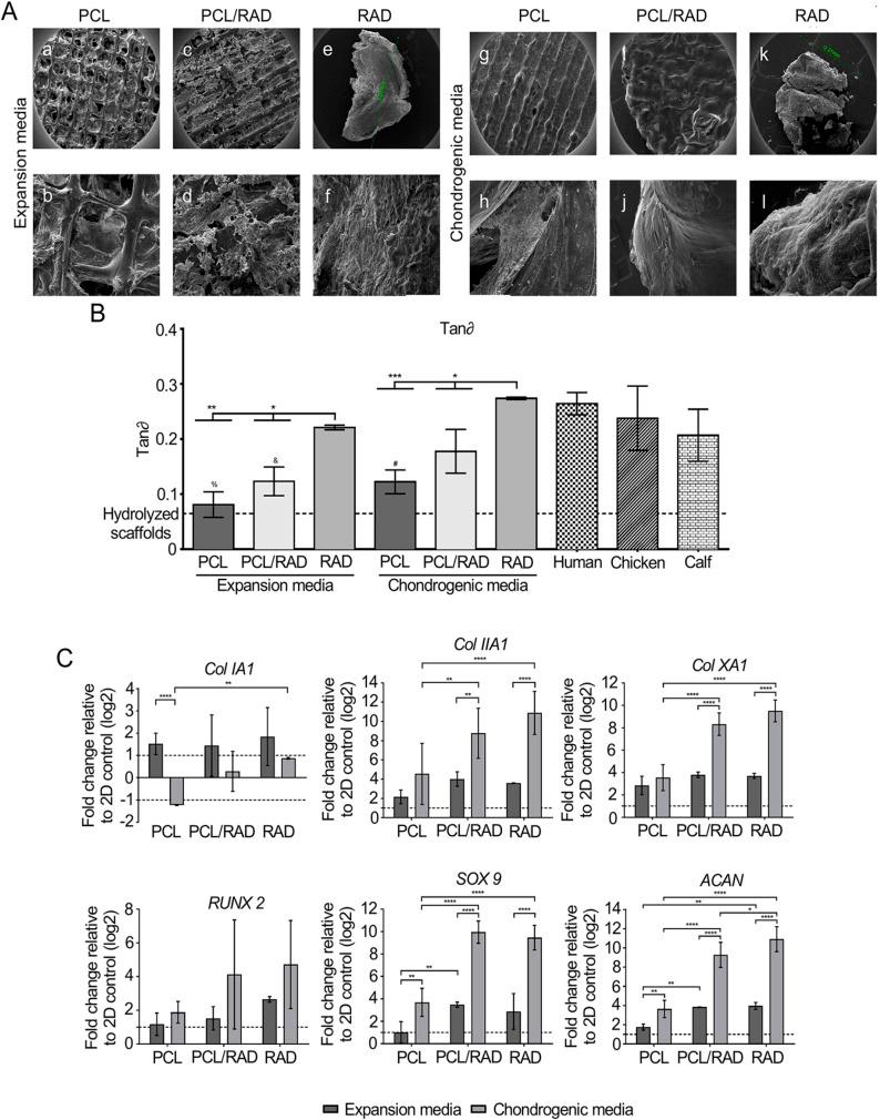https://cdn.ncbi.nlm.nih.gov/pmc/blobs/6012/7457700/bef67ac635a7/10.1177_2041731420943839-fig7.jpg