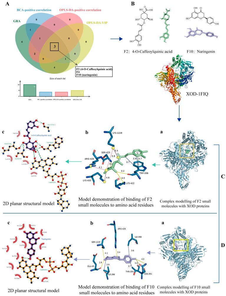 https://cdn.ncbi.nlm.nih.gov/pmc/blobs/603b/11433701/b5f986367e81/molecules-29-04288-g007.jpg