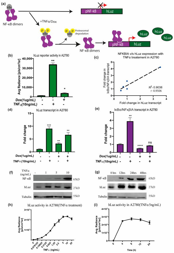 https://cdn.ncbi.nlm.nih.gov/pmc/blobs/6048/10490530/15492ccdb74d/sensors-23-07313-g003.jpg