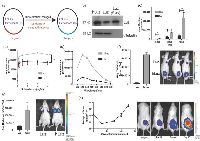 https://cdn.ncbi.nlm.nih.gov/pmc/blobs/6048/10490530/38bfc4f72d49/sensors-23-07313-g001.jpg