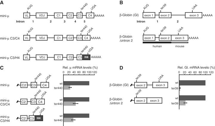https://cdn.ncbi.nlm.nih.gov/pmc/blobs/604d/3854533/085a7cc3b503/1432fig1.jpg