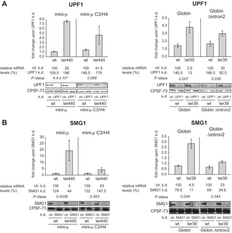 https://cdn.ncbi.nlm.nih.gov/pmc/blobs/604d/3854533/9dcb07f55cf0/1432fig2.jpg