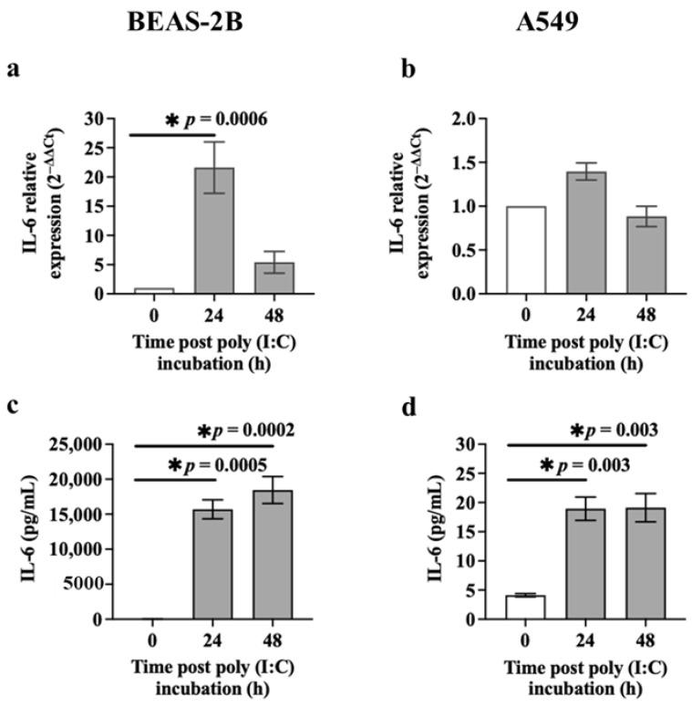 https://cdn.ncbi.nlm.nih.gov/pmc/blobs/6084/11172188/1b6ca29614e3/cells-13-00919-g003.jpg
