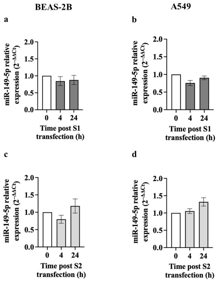 https://cdn.ncbi.nlm.nih.gov/pmc/blobs/6084/11172188/2cf075e6f775/cells-13-00919-g002.jpg