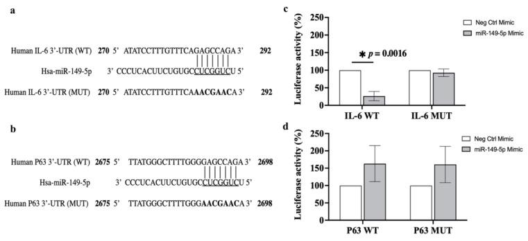 https://cdn.ncbi.nlm.nih.gov/pmc/blobs/6084/11172188/4526904e1df7/cells-13-00919-g011.jpg