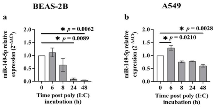 https://cdn.ncbi.nlm.nih.gov/pmc/blobs/6084/11172188/7409d0ff1a45/cells-13-00919-g001.jpg