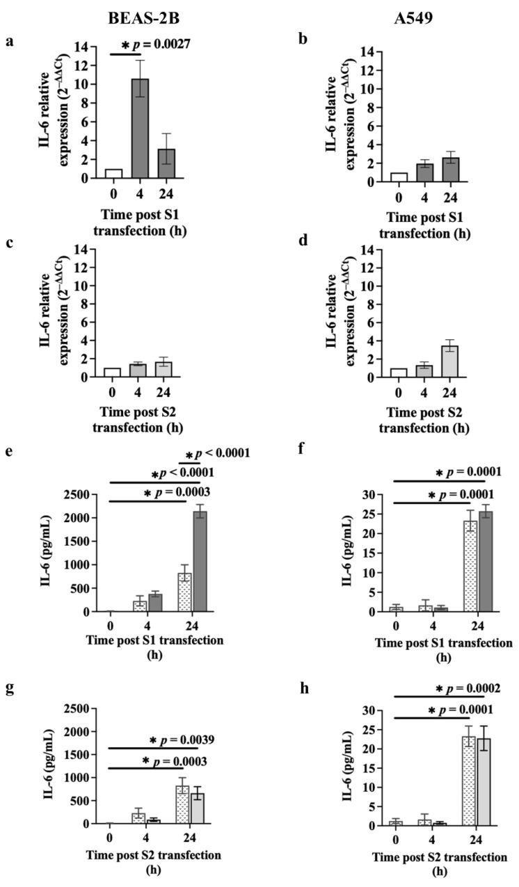 https://cdn.ncbi.nlm.nih.gov/pmc/blobs/6084/11172188/91b9eaef0a79/cells-13-00919-g004.jpg