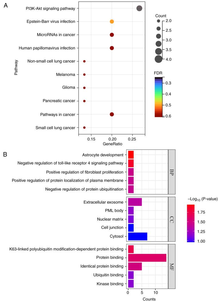 https://cdn.ncbi.nlm.nih.gov/pmc/blobs/608f/12329485/c2e9f799bcad/ol-30-04-15207-g05.jpg