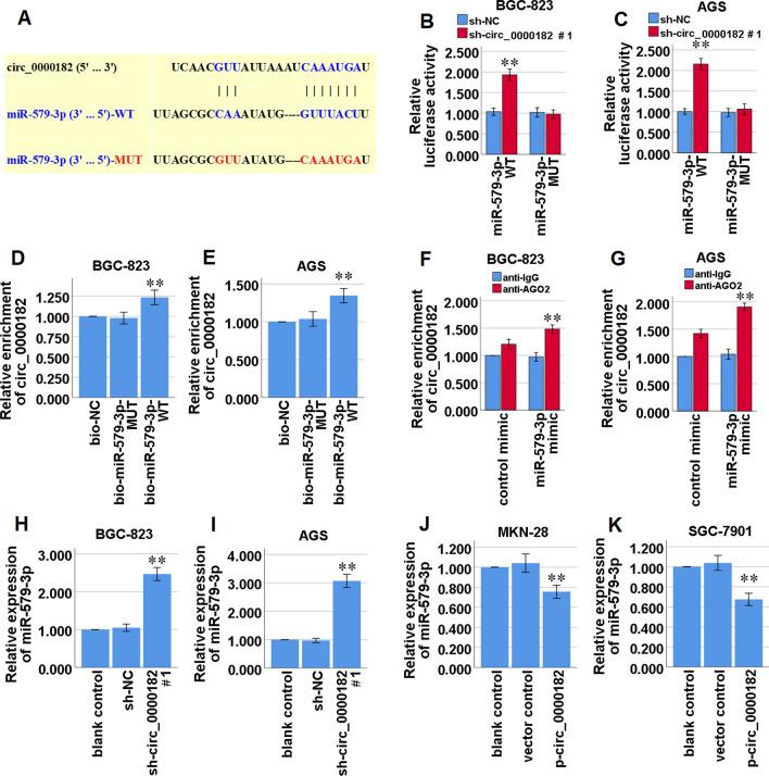 https://cdn.ncbi.nlm.nih.gov/pmc/blobs/6094/9941389/c49e11937644/12672_2023_630_Fig4_HTML.jpg