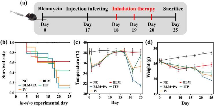 https://cdn.ncbi.nlm.nih.gov/pmc/blobs/6097/12208834/98bff784dec1/fphar-16-1528905-g009.jpg