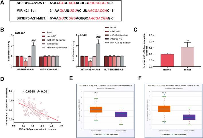 https://cdn.ncbi.nlm.nih.gov/pmc/blobs/60b2/12170978/7184be7c07e1/12672_2025_2906_Fig4_HTML.jpg