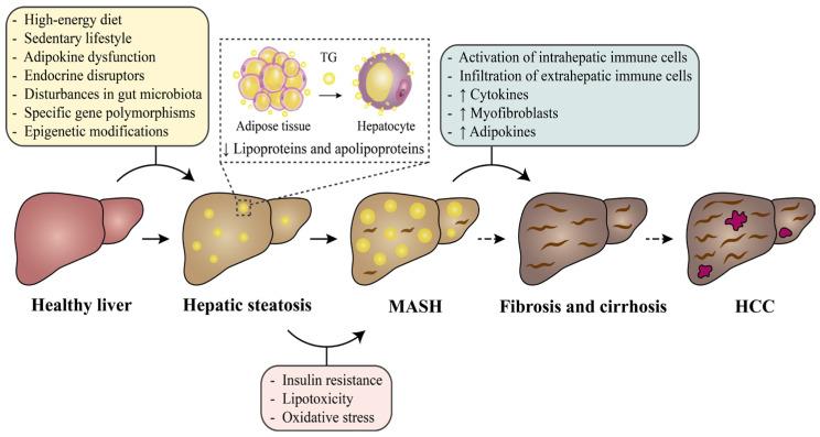 https://cdn.ncbi.nlm.nih.gov/pmc/blobs/60c2/12348178/c7b878296ebd/nutrients-17-02484-g001.jpg