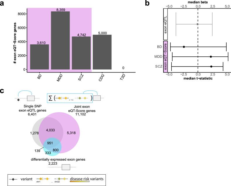 https://cdn.ncbi.nlm.nih.gov/pmc/blobs/60d6/12009313/fc4895920d49/41398_2025_3366_Fig3_HTML.jpg