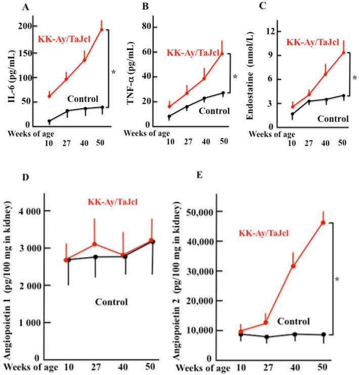 https://cdn.ncbi.nlm.nih.gov/pmc/blobs/60dd/9599438/ba962a0169e1/biomedicines-10-02648-g005.jpg