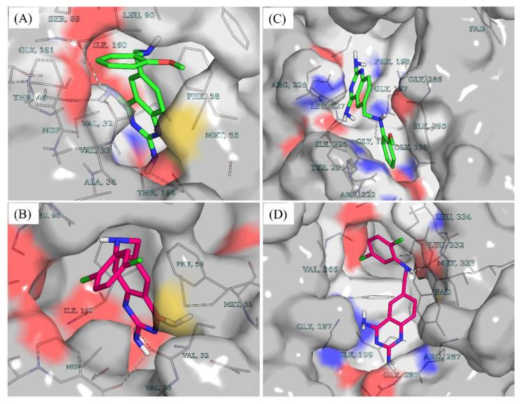 https://cdn.ncbi.nlm.nih.gov/pmc/blobs/60e3/9571290/0c6456ebdcae/molecules-27-06574-g003.jpg