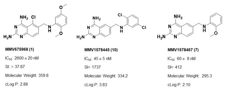 https://cdn.ncbi.nlm.nih.gov/pmc/blobs/60e3/9571290/0ca6ba299a53/molecules-27-06574-g002.jpg