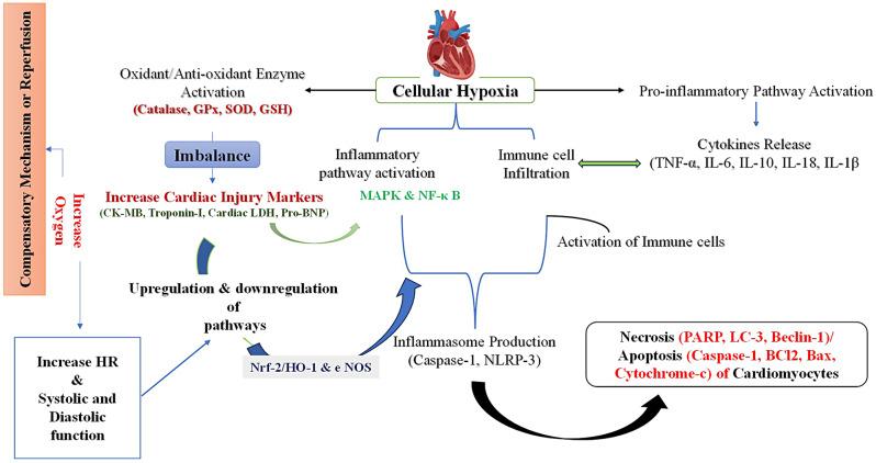 https://cdn.ncbi.nlm.nih.gov/pmc/blobs/611b/11376054/76dbac1aa6e4/42826_2024_218_Fig3_HTML.jpg