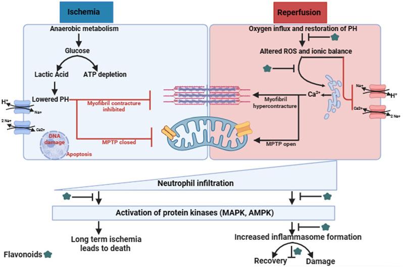 https://cdn.ncbi.nlm.nih.gov/pmc/blobs/611b/11376054/e41cb54b9245/42826_2024_218_Fig2_HTML.jpg