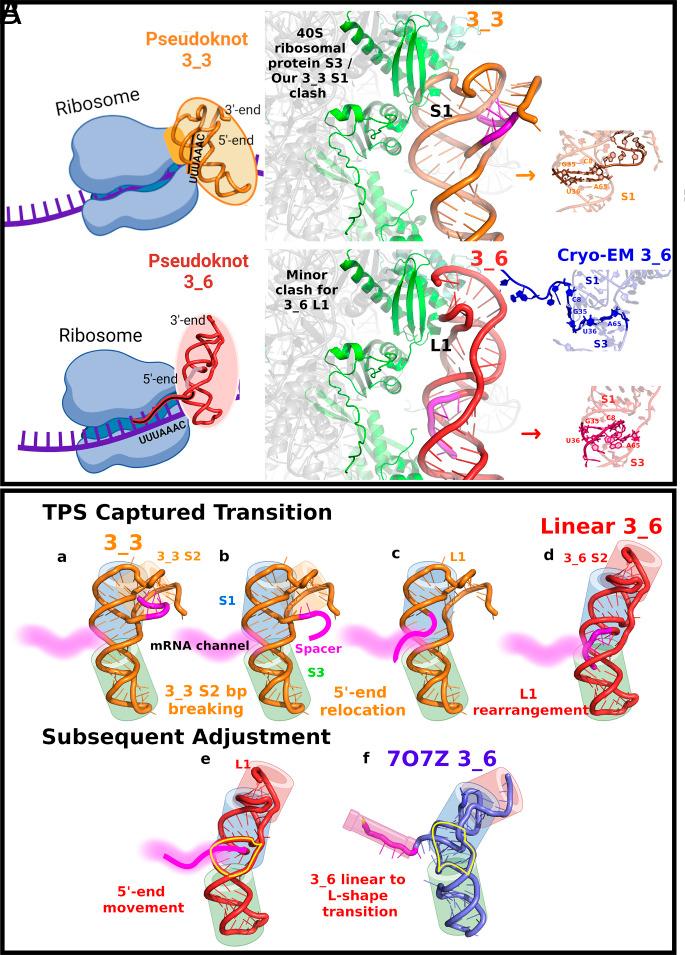 https://cdn.ncbi.nlm.nih.gov/pmc/blobs/6133/11789066/a0c027be5187/pnas.2417479122fig06.jpg