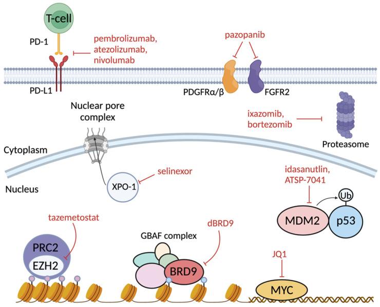 https://cdn.ncbi.nlm.nih.gov/pmc/blobs/6136/9332782/e733d922768a/cancers-14-03645-g004.jpg