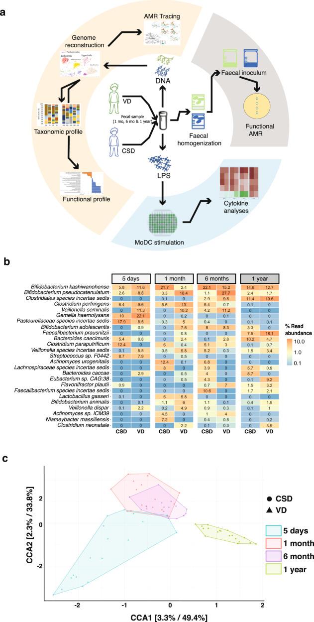 https://cdn.ncbi.nlm.nih.gov/pmc/blobs/6146/9723731/c36778fa398f/43705_2021_3_Fig1_HTML.jpg