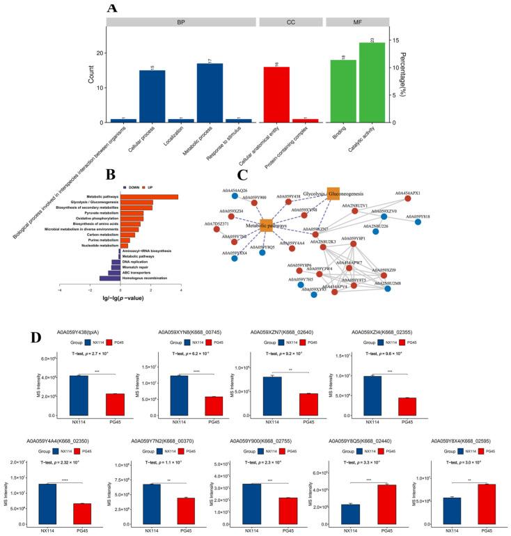 https://cdn.ncbi.nlm.nih.gov/pmc/blobs/6157/11509987/3d13a3f8bc1a/microorganisms-12-02012-g006.jpg