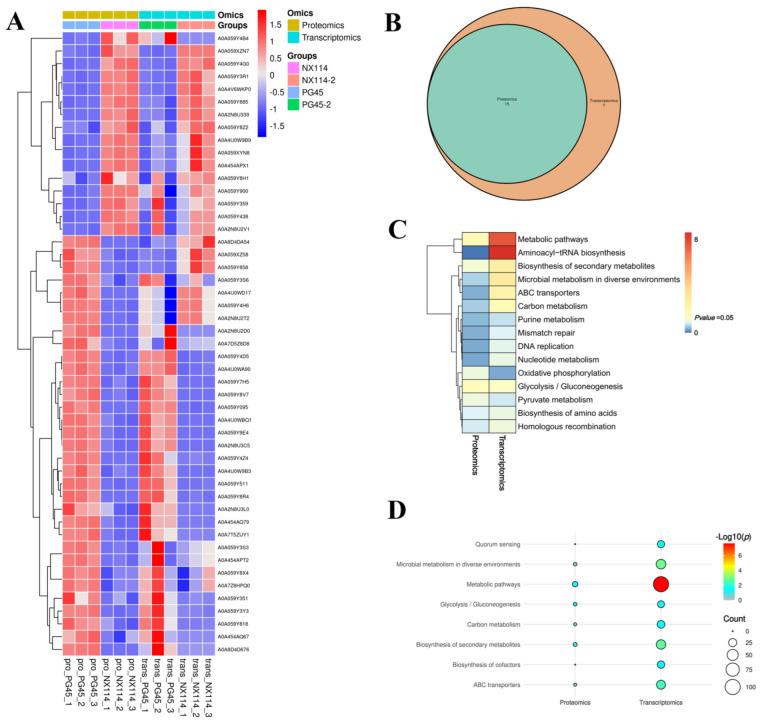 https://cdn.ncbi.nlm.nih.gov/pmc/blobs/6157/11509987/58eacaed34b3/microorganisms-12-02012-g009.jpg