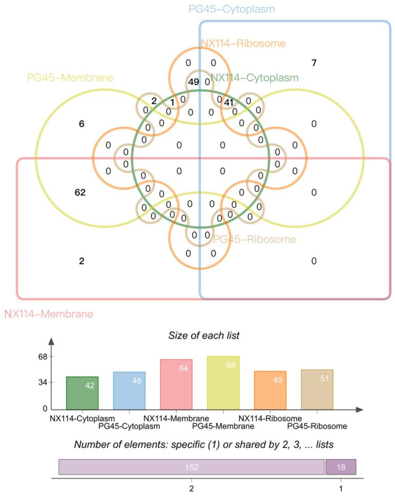 https://cdn.ncbi.nlm.nih.gov/pmc/blobs/6157/11509987/8602b5edd27d/microorganisms-12-02012-g007.jpg