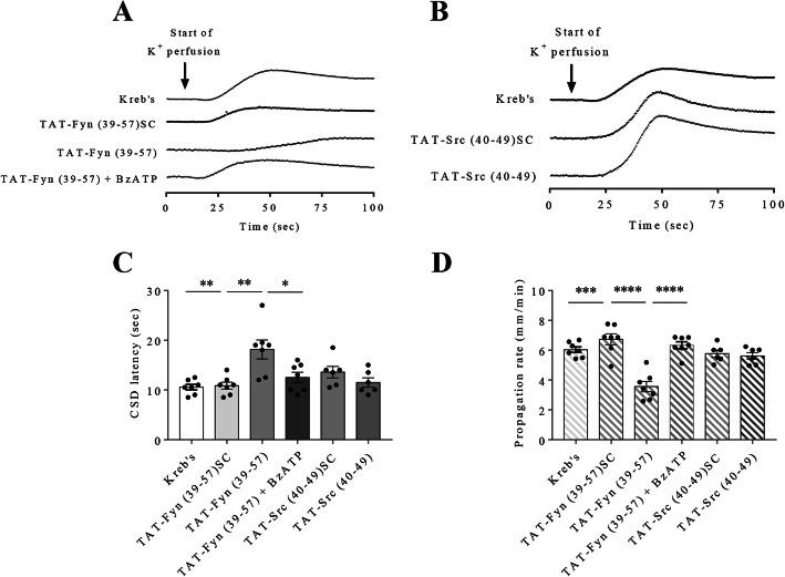 https://cdn.ncbi.nlm.nih.gov/pmc/blobs/6159/8903689/35810fef3ba1/10194_2021_1359_Fig5_HTML.jpg
