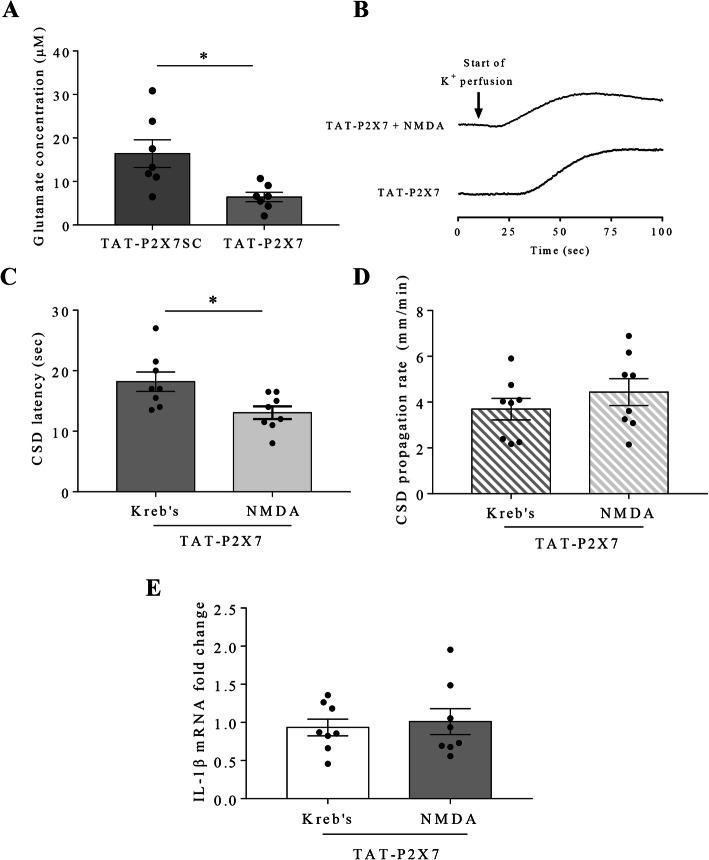 https://cdn.ncbi.nlm.nih.gov/pmc/blobs/6159/8903689/376857bdaede/10194_2021_1359_Fig4_HTML.jpg