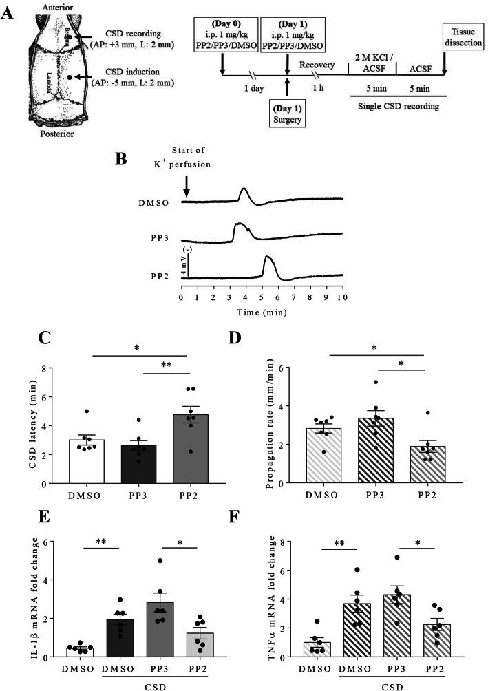 https://cdn.ncbi.nlm.nih.gov/pmc/blobs/6159/8903689/4dfd070fb5e4/10194_2021_1359_Fig1_HTML.jpg