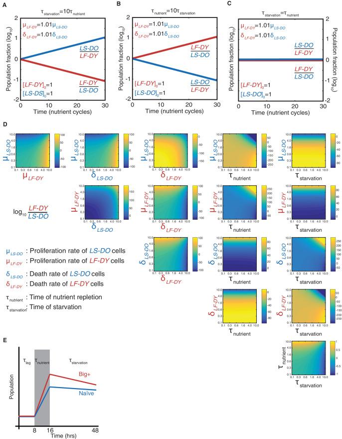 https://cdn.ncbi.nlm.nih.gov/pmc/blobs/6163/8455135/292df68ff3d0/elife-60917-fig2-figsupp1.jpg