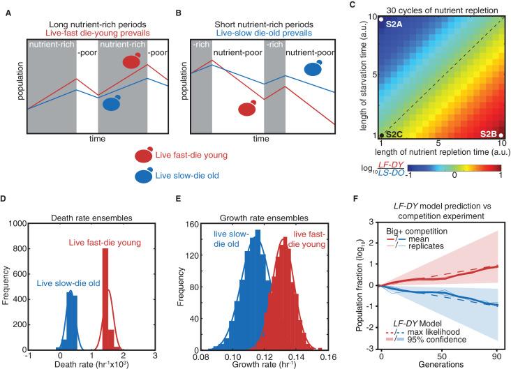 https://cdn.ncbi.nlm.nih.gov/pmc/blobs/6163/8455135/7b0cd629fa3f/elife-60917-fig2.jpg