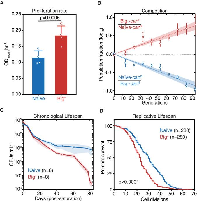 https://cdn.ncbi.nlm.nih.gov/pmc/blobs/6163/8455135/9458cff3f0fb/elife-60917-fig1.jpg